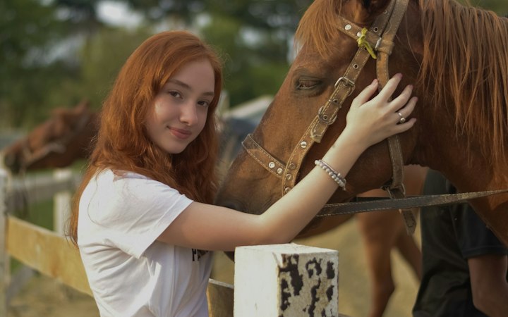 Une jeune fille caresse un cheval derrière une clôture