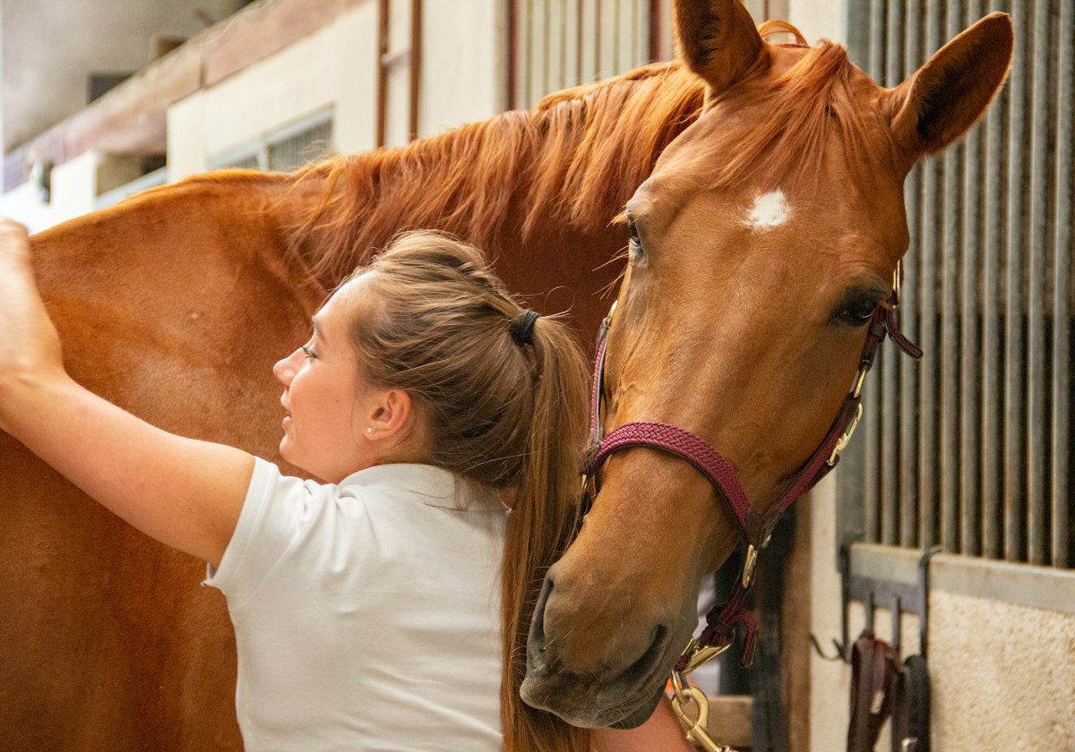 Cavalière caressant son cheval à l'écurie